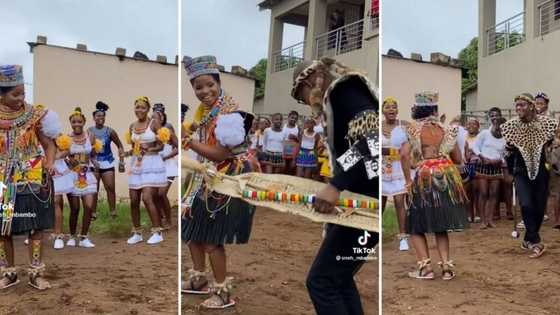 SA couple sets internet ablaze with traditional Zulu wedding, TikTok of romantic dance goes viral