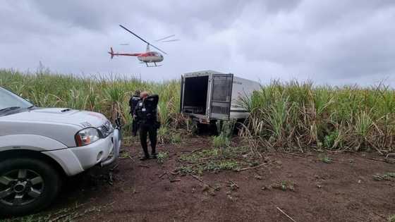 Crumby situation: 1 000 loaves of bread stolen in KZN delivery van hijacking