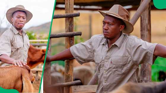 'Hit After Hit' Maskandi musician Gatsheni enters the livestock business: “I am a passionate farmer”