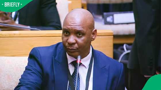 Paul O’Sullivan allegedly plotted against former SAPS commissioner: Cedric Nkabinde