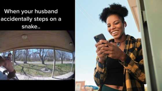 Hilarious video shows buff dad's fancy footwork after stepping on a snake: “That shook him to the core”