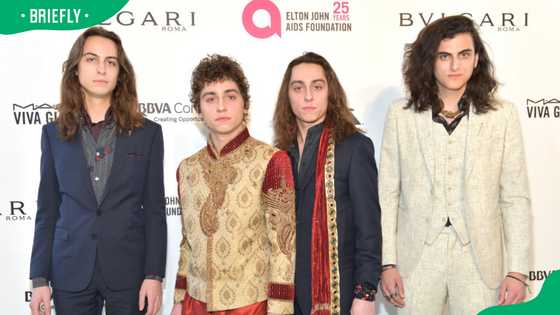 Greta Van Fleet members: Meet the Kiszka brothers and Danny Wagner