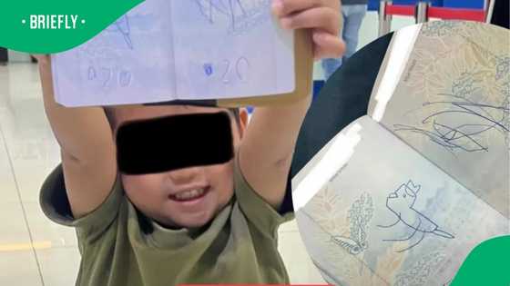 Toddler's dinosaur drawing on passport causes mum to miss flight