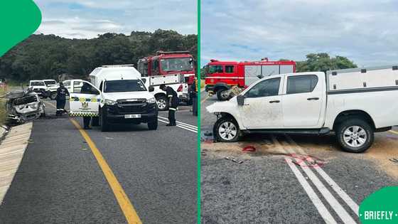 N4 multi-vehicle crash leaves 4 people dead, VW Polo occupants killed after vehicle catches alight