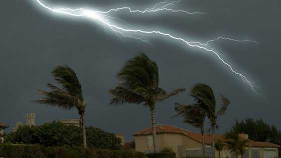 Gauteng and Northwest hit by strong winds, disturbed residents share videos online: "It was scary"