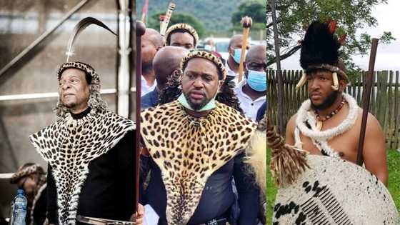 All King Zwelithini's sons and their personal stories | Who are they?