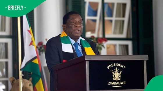 EFF slams Zimbabwe's presidential term extension, Zimbabweans hit back