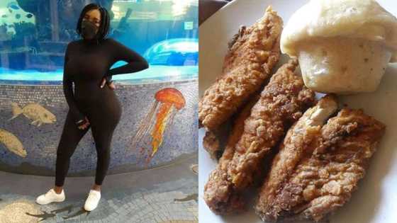 "Dombolo muffins": Mzansi properly roasts lady's cooking skills