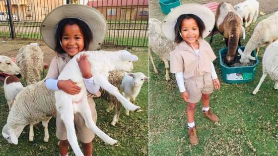 “So adorable”: SA seriously wowed by photos of a young 'farmer' and her sheep