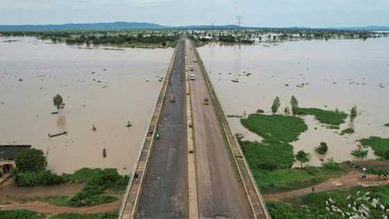 Nigeria floods toll has passed 600: government