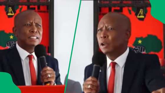 "Someone has come to fool you": Malema's speech about foreigners sparks heated debate in SA