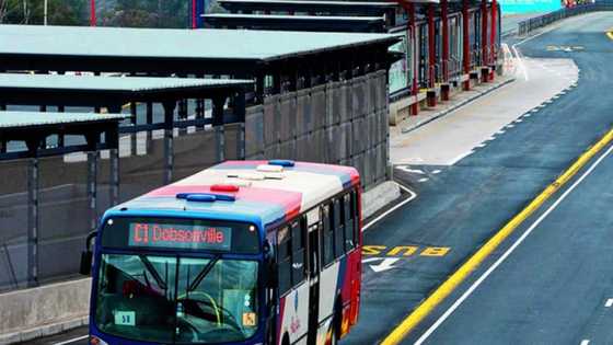 List of bus companies in South Africa: best long-distance buses
