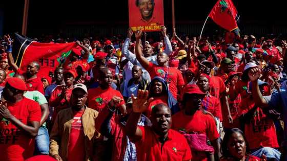 Election results: EFF comes in 3rd place as national districts are declared