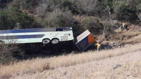 RTMC to investigate Eastern Cape bus crash that claimed 28 lives