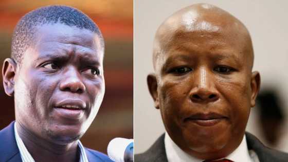 Malema accuses Lamola of influencing JSC decision, Justice Department denies judicial capture and manipulation claims