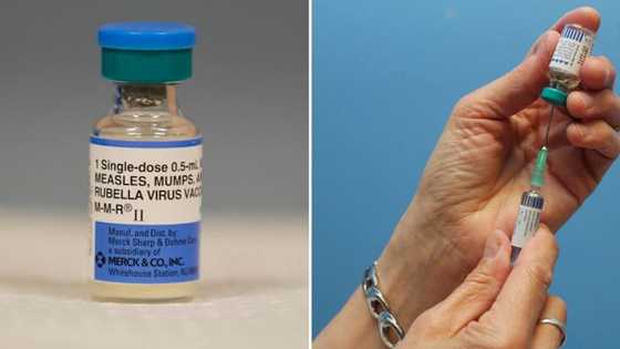 Measles outbreak in Zimbabwe claims 685 lives, the government blames anti-vaccination religious sects