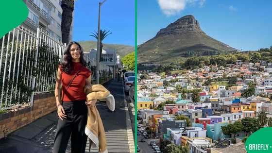 "This should be illegal": R8k rental in Cape Town gives SA chest pains in video, Mzansi reacts