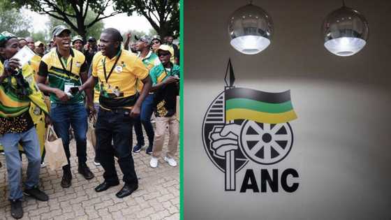 ANC members in Mpumalanga boycott ruling party's 112 years celebration, Pienaar community fed up