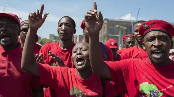 Mzansi says EFF's national shutdown is too far away, calls for urgent intevention in country’s challenges