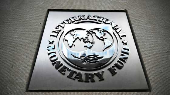 IMF approves use of reserve assets for 'hybrid' financial instruments