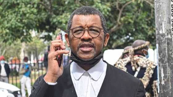 "They are doomed!": Mzansi on Dali Mpofu representing military vets accused of kidnapping