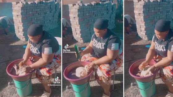 Woman cleans full chicken with Sunlight dishwashing liquid and skuur pot, video drops Mzansi's jaw