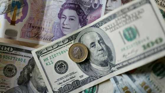 Stocks dive, dollar rallies as dazed traders gird for inflation data