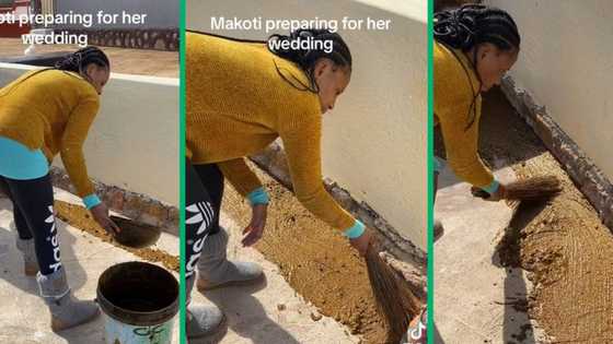 Makoti plasters paved stoep with cow dung for wedding day, TikTok video of ancient practice trends