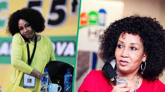 Northern Cape ANC slams Lindiwe Sisulu for DA coalition comments