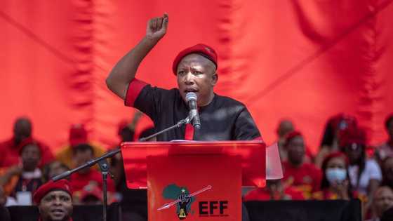 “These wine farms, they are ours": Malema promises to expropriate Stellenbosch land