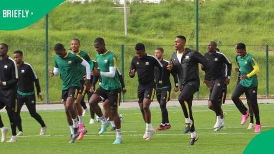 Ecstatic Free State fans cannot wait to see their Bafana Bafana heroes take on Zimbabwe