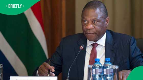 Paul Mashatile fined for not declaring diamond gift, SA is not pleased