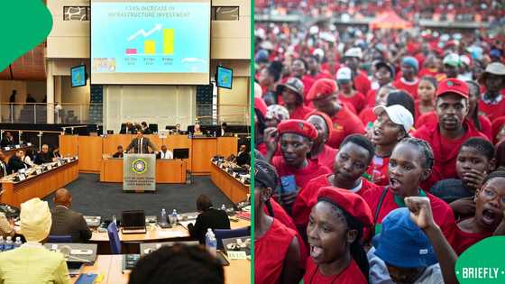 Violence erupts during Cape Town council meeting, SA split as EFF member choked and left unconscious