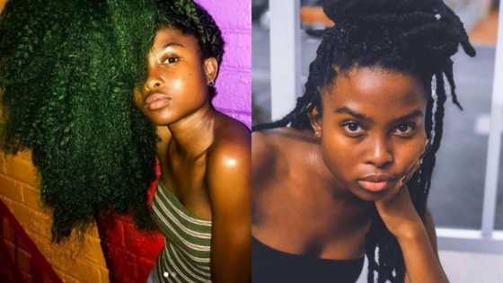 Ditebogo Ledwaba biography: pictures, TV shows, movies, facts