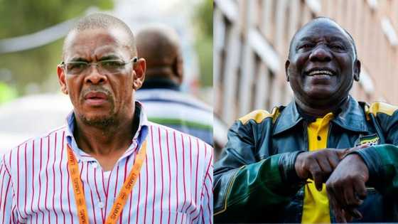 ANC NEC: Members charged with corruption must step aside within 30 days