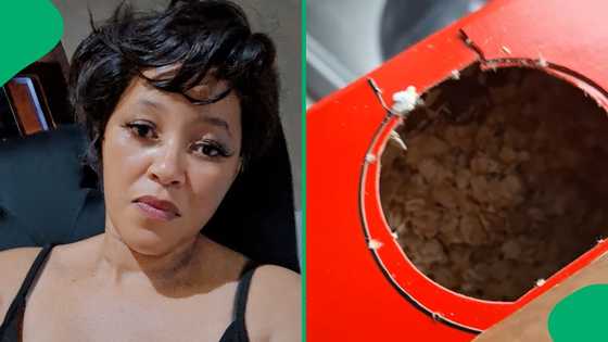 "Email them": Woman puts Oats brand on blast after finding strange substance in cereal, SA stunned