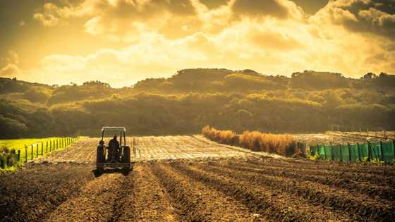 Multi million rand farm left vacant after government purchase, SA not impressed