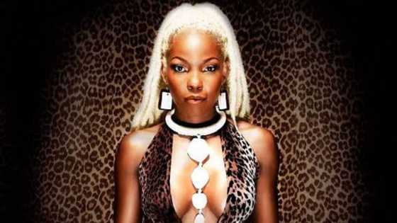 The life, music, and achievements of Lebo Mathosa
