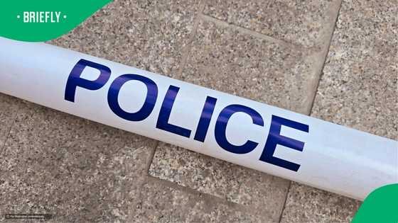 Officers stunned by fake licence made from loyalty card