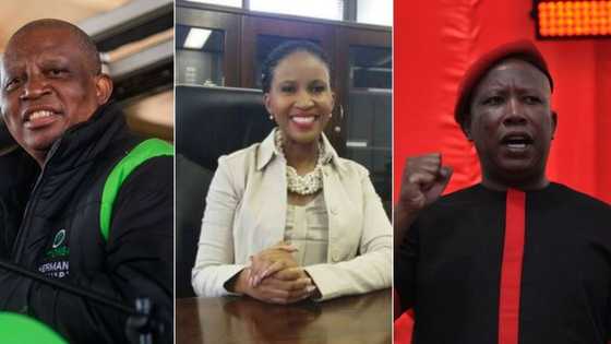 No coalition as EFF and ActionSA vote DA's Mpho Phalatse in as 1st woman mayor of Johannesburg