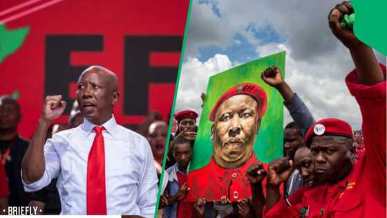 EFF appeals after Malema sentencing as supporters rally outside East London court