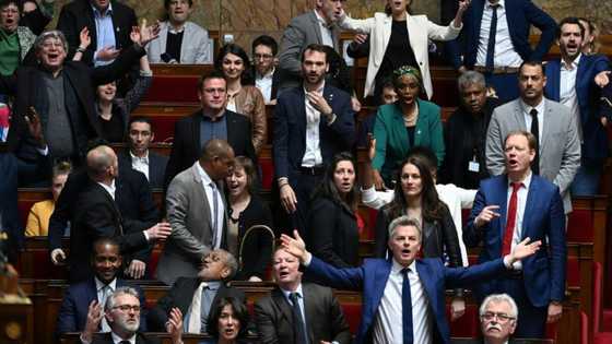 How did France's government impose its pension reform?