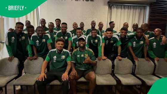 Springboks, Proteas and Bafana Bafana stars’ earnings revealed as top athletes cash in on success