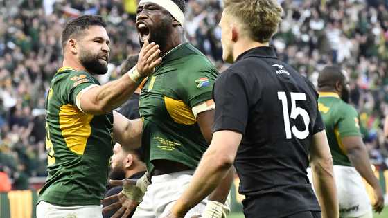 Siya Kolisi showers two Springboks stars with praise after All Blacks win
