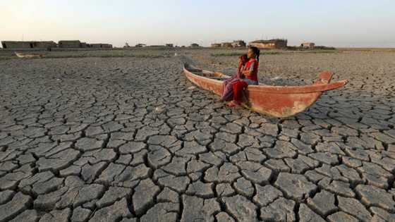 Global warming palpable for 96% of humans: study