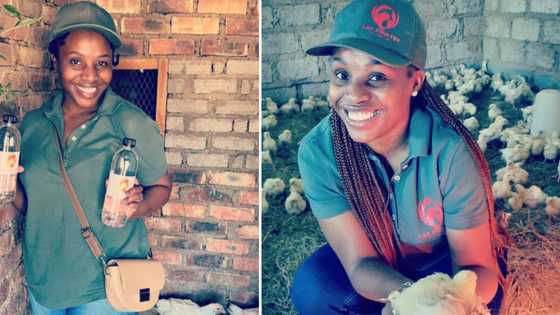 Mom of 2 with chicken farm says loadshedding is affecting her business terribly