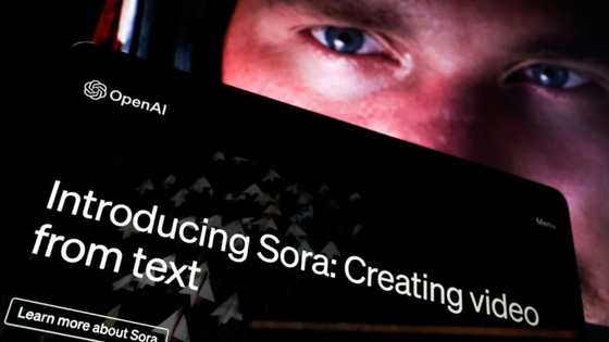 New AI-video tool by maker of ChatGPT worries media creators