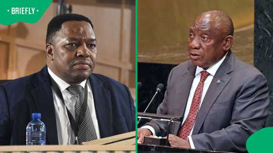 Fannie Masemola says Cyril Ramaphosa agreed to the Political Killings Task Team's disbandment