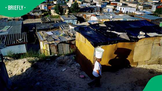Stellenbosch's R2.6m homes contrast sharply with thousands living on R370 grant