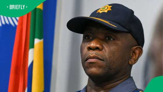 Political parties back Ad Hoc Committee, urge Mkhwanazi to expose all corruption in SAPS